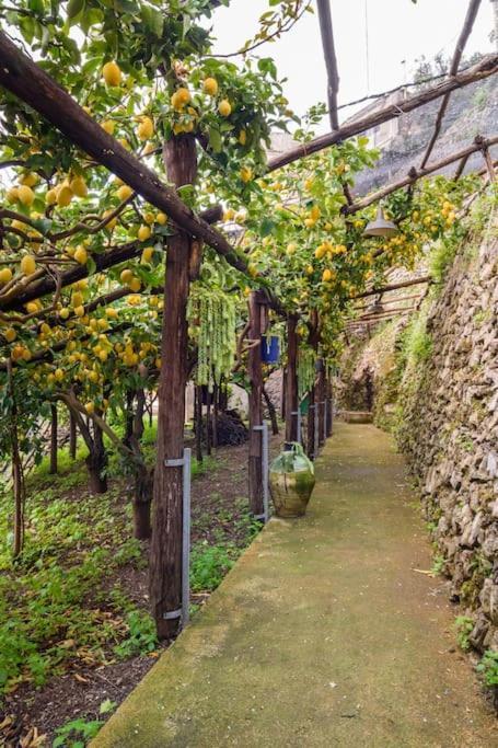 Вилла #La Limonaia Della Torretta Минори Экстерьер фото